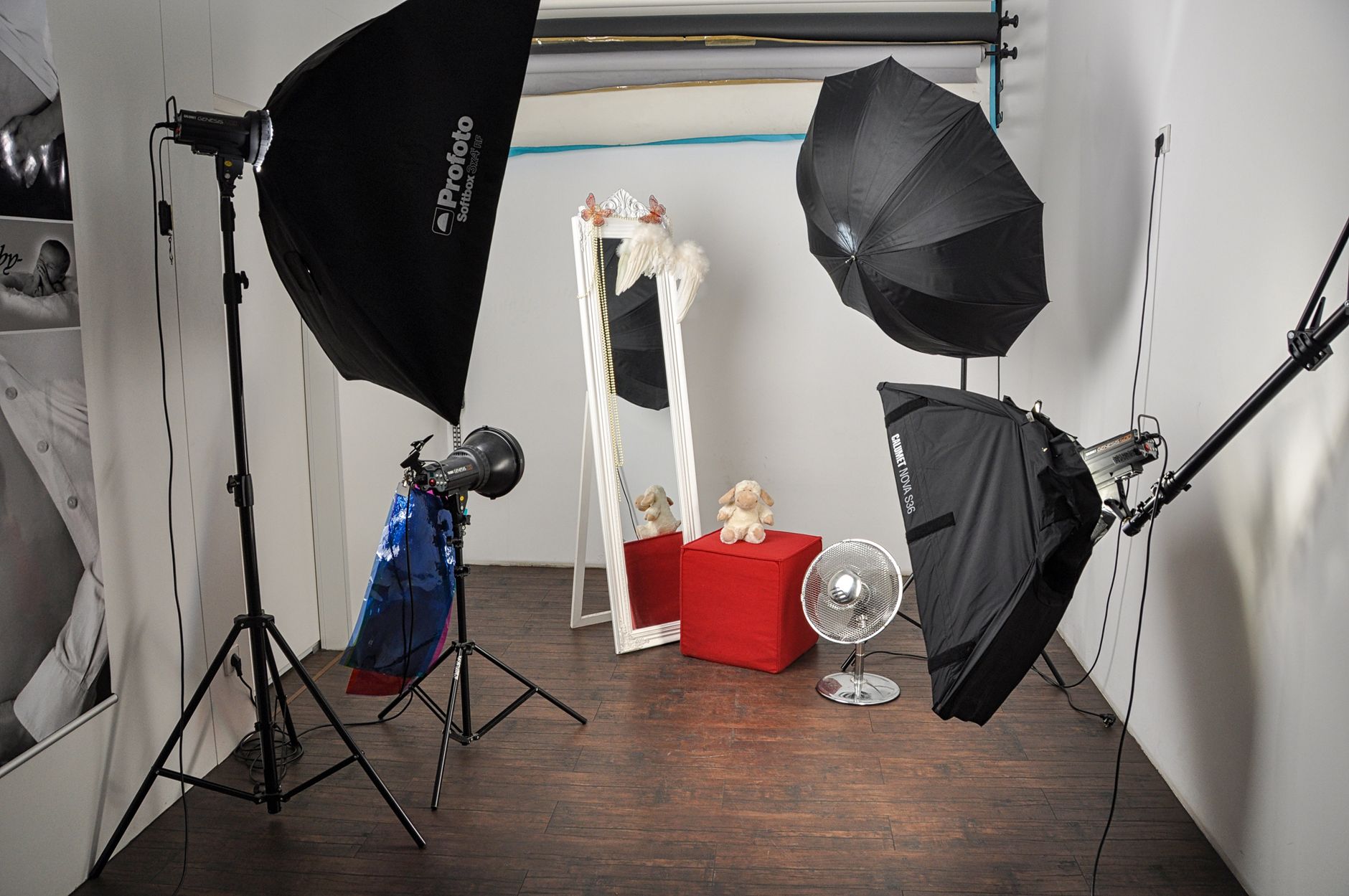 So Sánh Đèn Ring Light Và Đèn Softbox - Ánh Sáng Nào Đẹp Hơn?